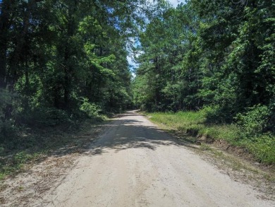 Lake Acreage For Sale in Bonnerdale, Arkansas