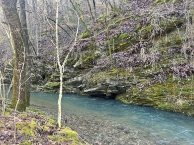 Lake Acreage For Sale in Norman, Arkansas