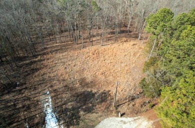 Kentucky Lake Lot For Sale in Springville Tennessee