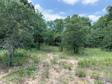 148.715 ACRES - Rolling hills with tremendous elevations, East - photo 14