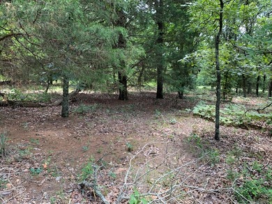 148.715 ACRES - Rolling hills with tremendous elevations, East - photo 15