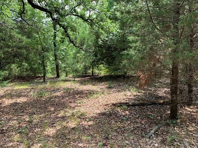 148.715 ACRES - Rolling hills with tremendous elevations, East - photo 16