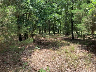 148.715 ACRES - Rolling hills with tremendous elevations, East - photo 17