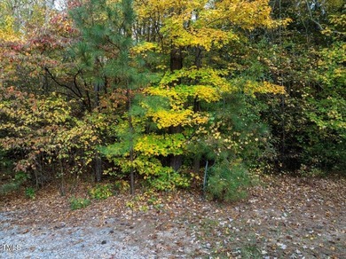 Build your Dream Home near beautiful, serene Lake Gaston! Over 1 - photo 10
