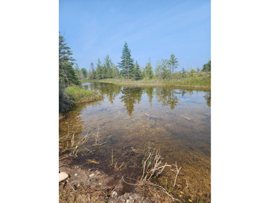 Lake Huron - Alpena County Lot For Sale in Alpena Michigan