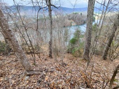 Watauga Lake Lot For Sale in Butler Tennessee
