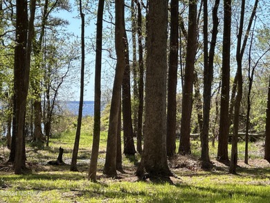 Pamlico River Lot For Sale in Bath North Carolina