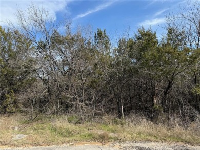 Lake Lot Sale Pending in Granbury, Texas