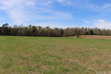 Lake Ouachita Acreage For Sale in Story Arkansas