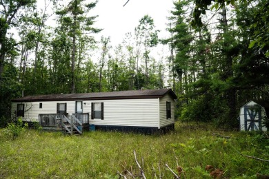 Lake Home For Sale in Gaylord, Michigan