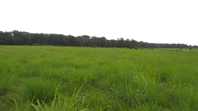 34.26 Acres of East Tennessee Beauty & Possibility Nestled in - photo 3