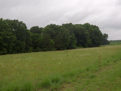 34.26 Acres of East Tennessee Beauty & Possibility Nestled in - photo 8