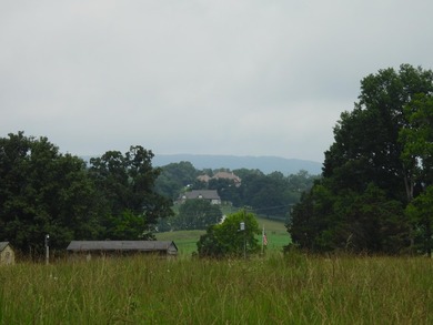 34.26 Acres of East Tennessee Beauty & Possibility Nestled in - photo 10