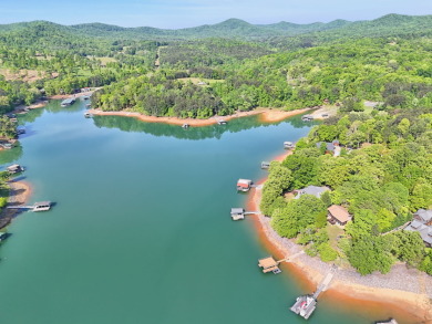 Lake Nottely, North end, True Log Home! Year round deep water! SO - photo 20