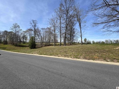 Build your dream home on one of the last remaining lots in - photo 3