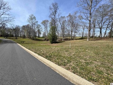 Build your dream home on one of the last remaining lots in - photo 4