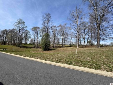 Build your dream home on one of the last remaining lots in - photo 5