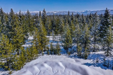 North Fork Payette River  Lot For Sale in Mccall Idaho