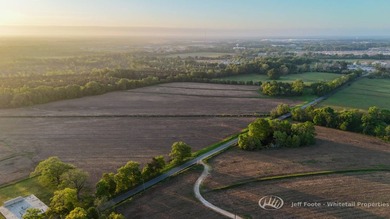 This 207.26+/--acre tract in Madison County, Mississippi, offers - photo 4