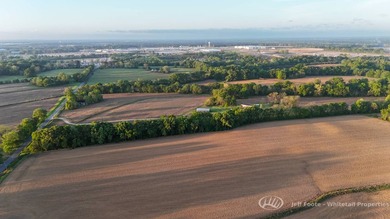 This 207.26+/--acre tract in Madison County, Mississippi, offers - photo 6