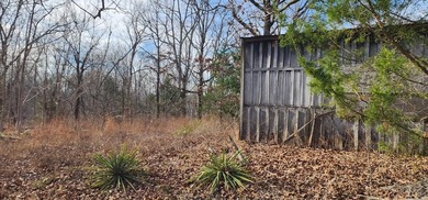 Tennessee River - Benton County Lot For Sale in Holladay Tennessee