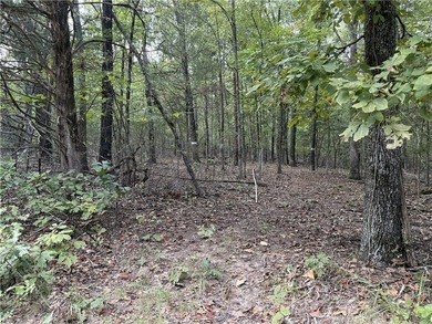 30 Secluded Acres Near the Lake - A Rare Opportunity! Whether - photo 2