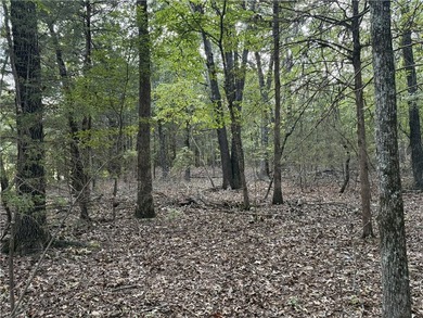 30 Secluded Acres Near the Lake - A Rare Opportunity! Whether - photo 3