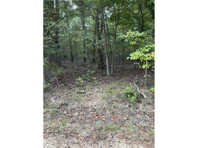 30 Secluded Acres Near the Lake - A Rare Opportunity! Whether - photo 9