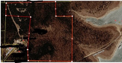 30 Secluded Acres Near the Lake - A Rare Opportunity! Whether - photo 10