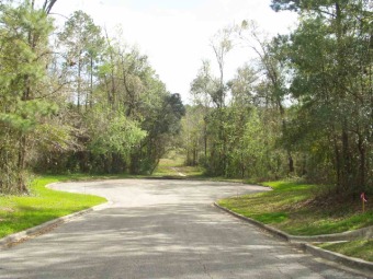 (private lake) Lot For Sale in Tallahassee Florida