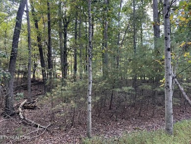 Prime 0.37-acre buildable lot near the golf course in Fairfield - photo 7