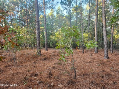 Lake Lot For Sale in Jackson Springs, North Carolina