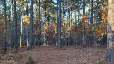(private lake, pond, creek) Lot For Sale in Jackson Springs North Carolina