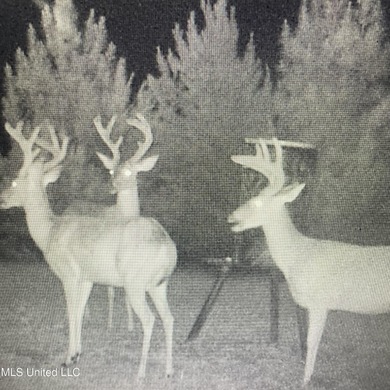 (private lake, pond, coastal) Acreage For Sale in Goodman Mississippi