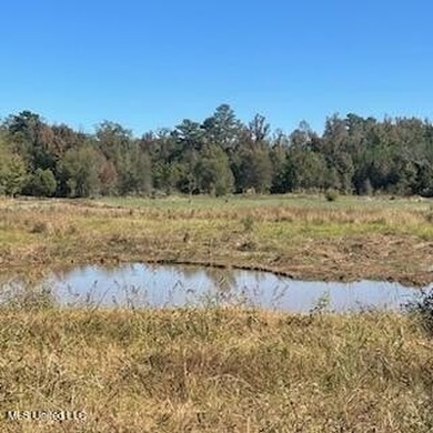 Turnkey hunting properties with this level of infrastructure - photo 7
