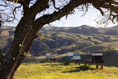Set on a scenic ridge with panoramic views encompassing historic - photo 5