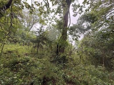 Don't miss this beautiful 23-acre property ideally located - photo 3