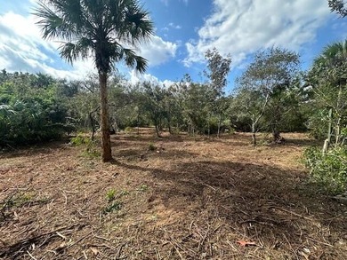 Secluded Old Florida Oasis - Private Land Experience the charm - photo 3