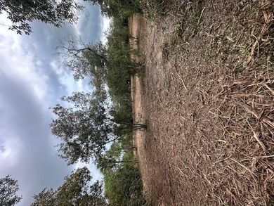 Secluded Old Florida Oasis - Private Land Experience the charm - photo 4