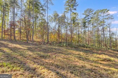 MOTIVATED SELLER!! This beautiful 1 acre lot is cleared and - photo 11