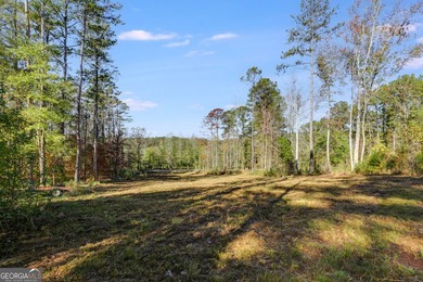 MOTIVATED SELLER!! This beautiful 1 acre lot is cleared and - photo 12