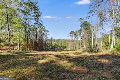 MOTIVATED SELLER!! This beautiful 1 acre lot is cleared and - photo 13