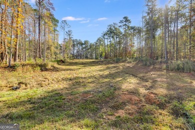 MOTIVATED SELLER!! This beautiful 1 acre lot is cleared and - photo 15