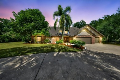 (private lake, pond, creek) Home For Sale in Plant City Florida