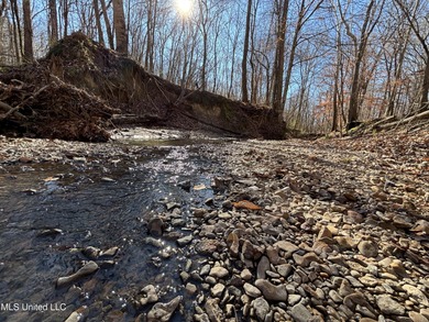 (private lake, pond, coastal) Home For Sale in Yazoo City Mississippi