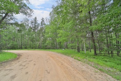 Build your dream home or weekend getaway at this large one-acre - photo 1