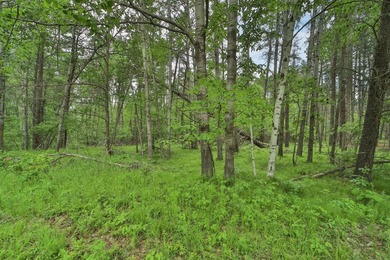 Build your dream home or weekend getaway at this large one-acre - photo 2
