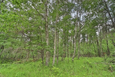 Build your dream home or weekend getaway at this large one-acre - photo 3