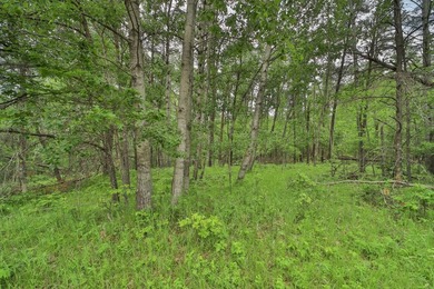 Build your dream home or weekend getaway at this large one-acre - photo 4