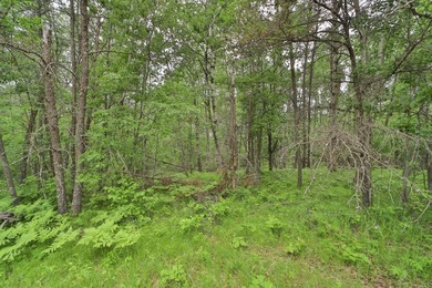 Build your dream home or weekend getaway at this large one-acre - photo 5